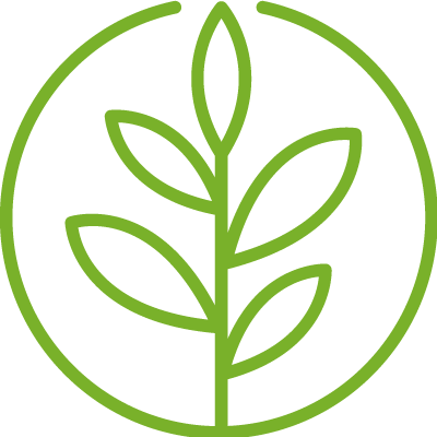 Logo Element Heilpflanzen transparent